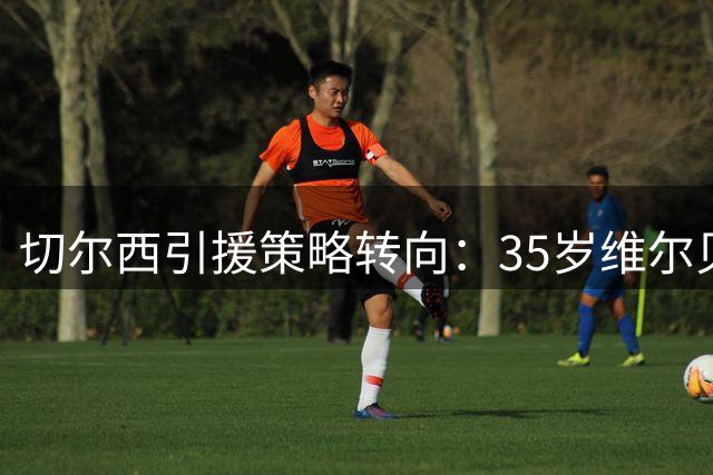 切尔西引援策略转向：35岁维尔贝克加盟 英超老将成蓝军新选择