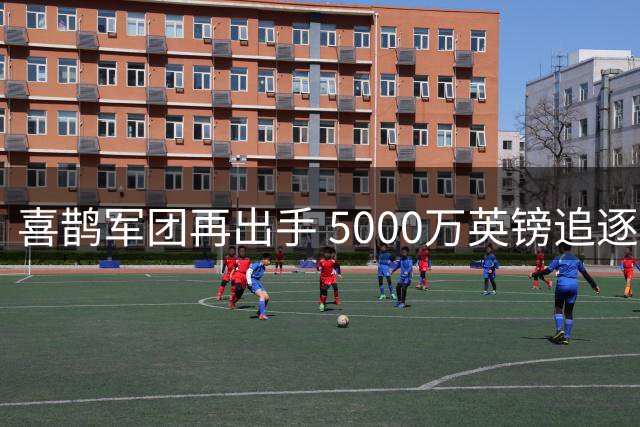 喜鹊军团再出手 5000万英镑追逐热刺中场新星